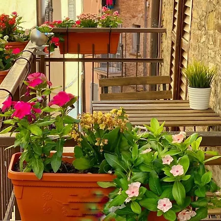 S. Ercolano Hotel