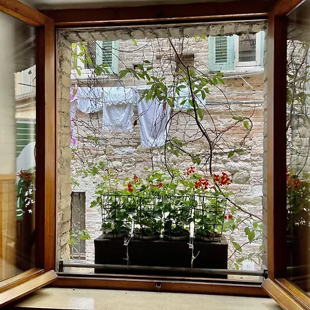 Hotel S. Ercolano 2*