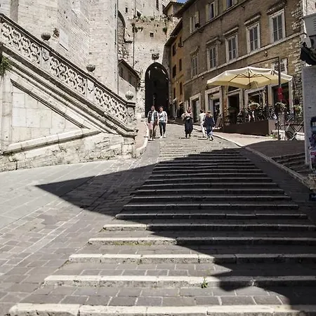 S. Ercolano