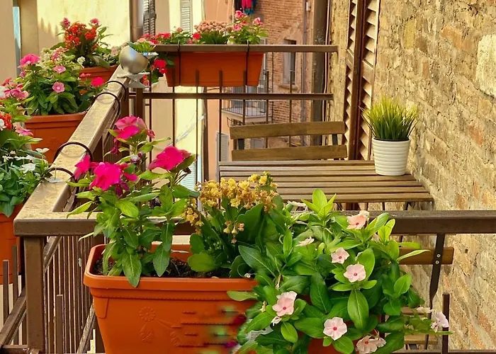 S. Ercolano فندق