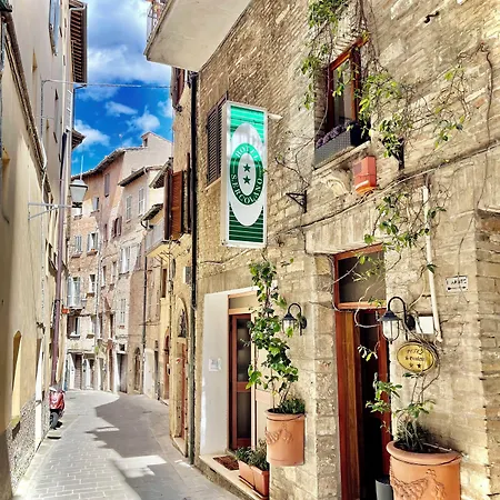 S. Ercolano