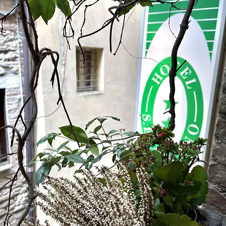 S. Ercolano