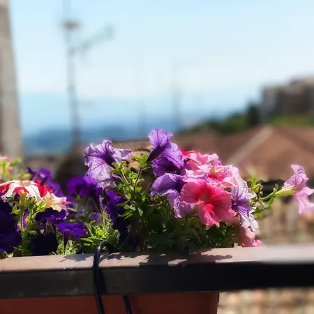 S. Ercolano 2*