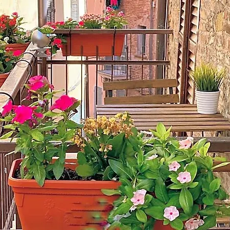 S. Ercolano Hotel